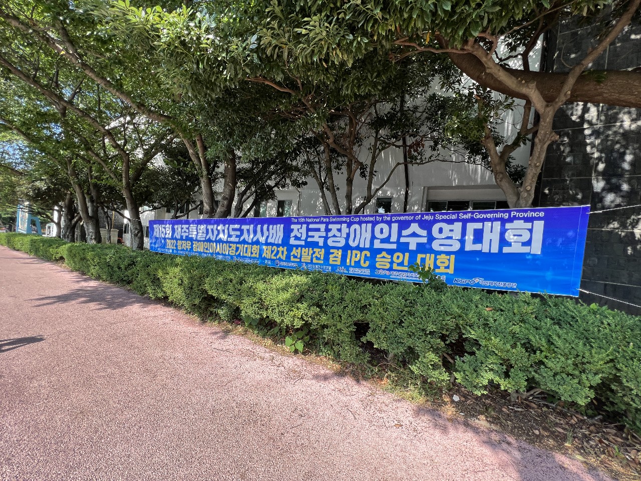 제15회 제주특별자치도지사배 전국장애인수영대회 대회 사진
